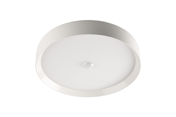 LED Ceiling Light RGBW Air White